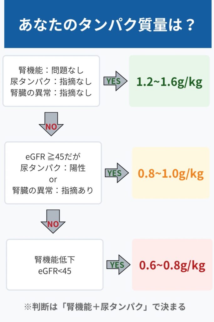腎機能や尿タンパク、腎形態別のタンパク摂取量フローチャート
