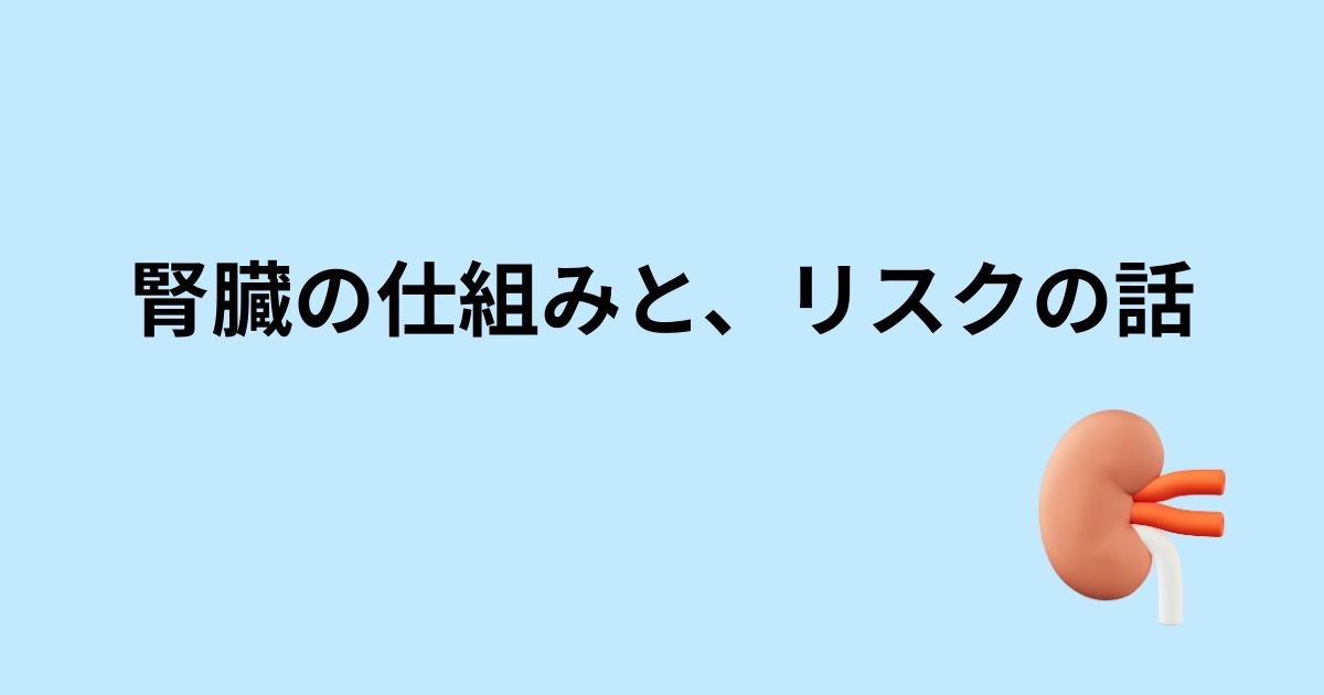 腎臓の仕組みとリスクの話