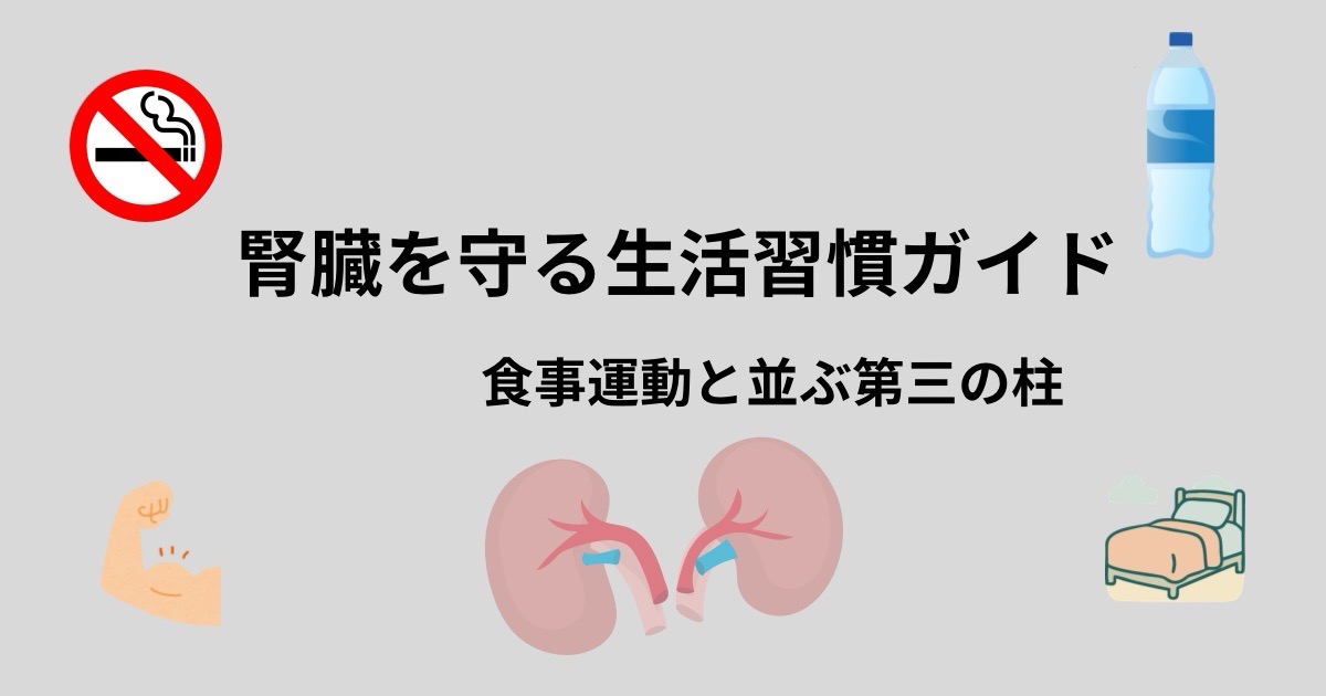 腎臓を守る生活習慣ガイド | 食事運動と並ぶ第三の柱