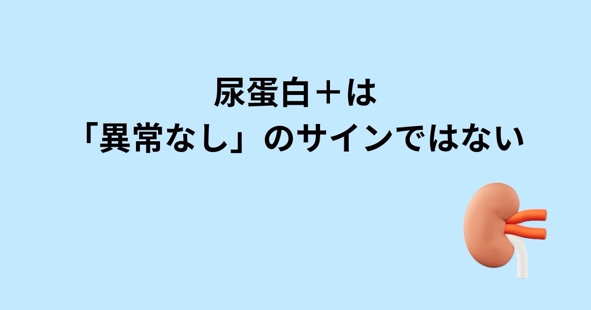 尿蛋白＋は「異常なし」のサインではない