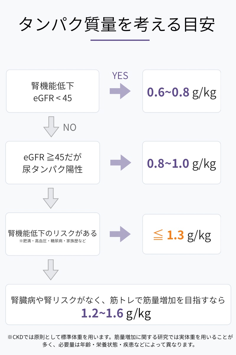 腎機能、尿蛋白、腎臓病のリスクに応じたタンパク質摂取量の目安