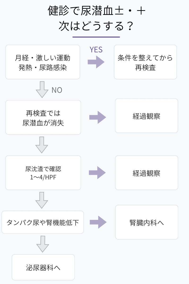 健診で尿潜血±・＋を指摘された場合の再検査と受診先のフローチャート