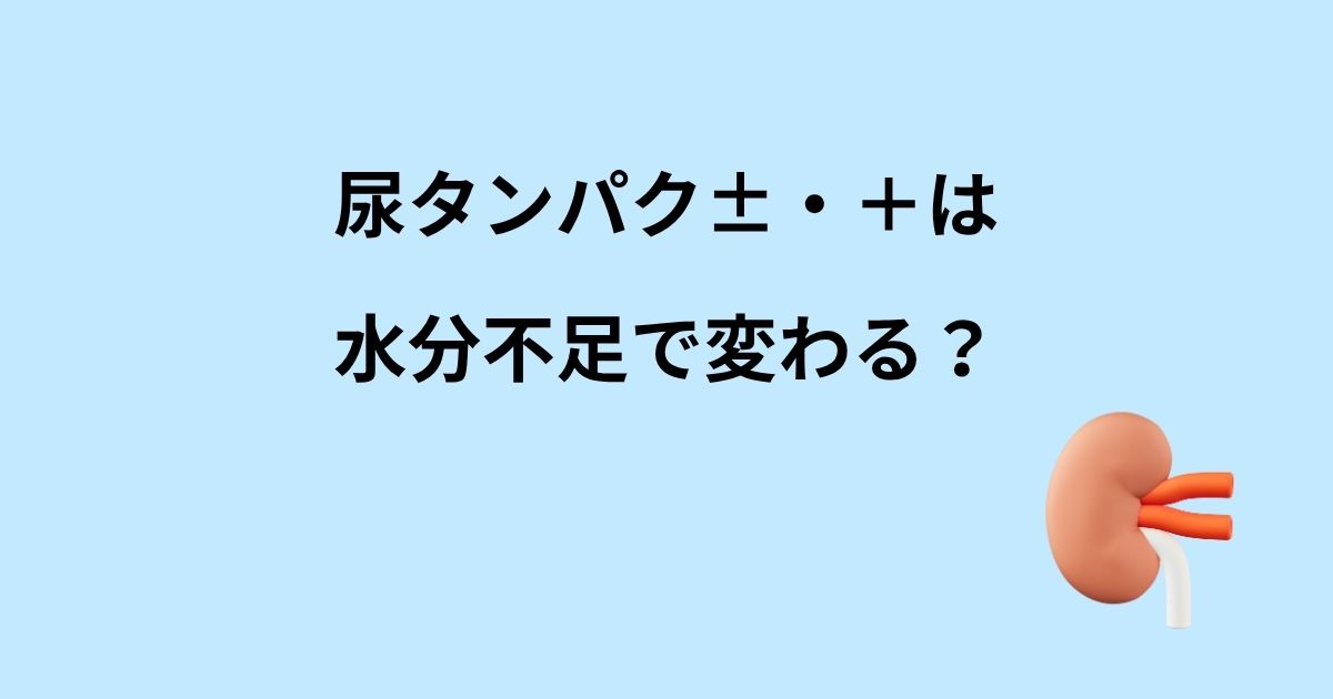 尿タンパク±・＋は 水分不足で変わる？